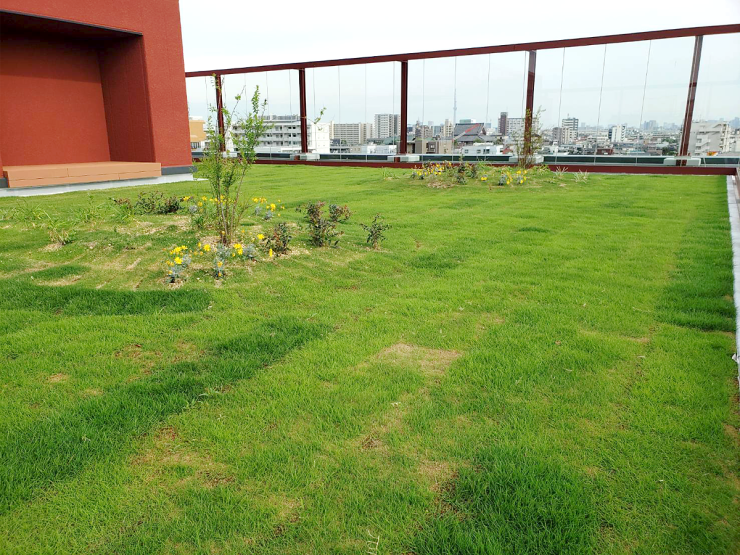 総合病院（屋上）庭園